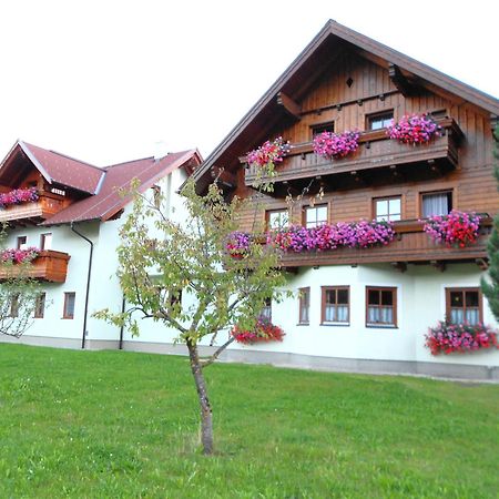 Pension Thorerhof Haus im Ennstal Dış mekan fotoğraf